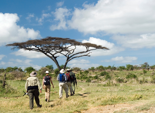 Group of People on Walking Safari in East Africa